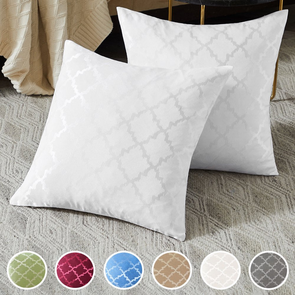 2 Pcs Decorative Throw Pillow Cover 20" x 20" Square Polyester