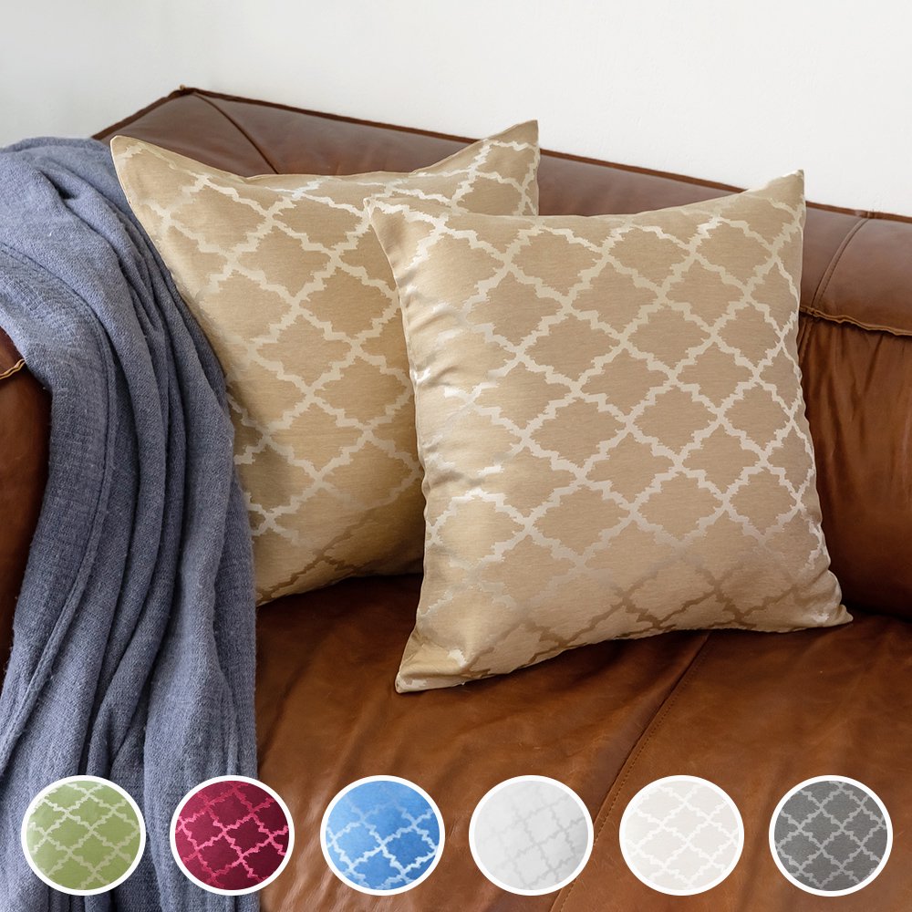 2 Pcs Decorative Throw Pillow Cover 20" x 20" Square Polyester