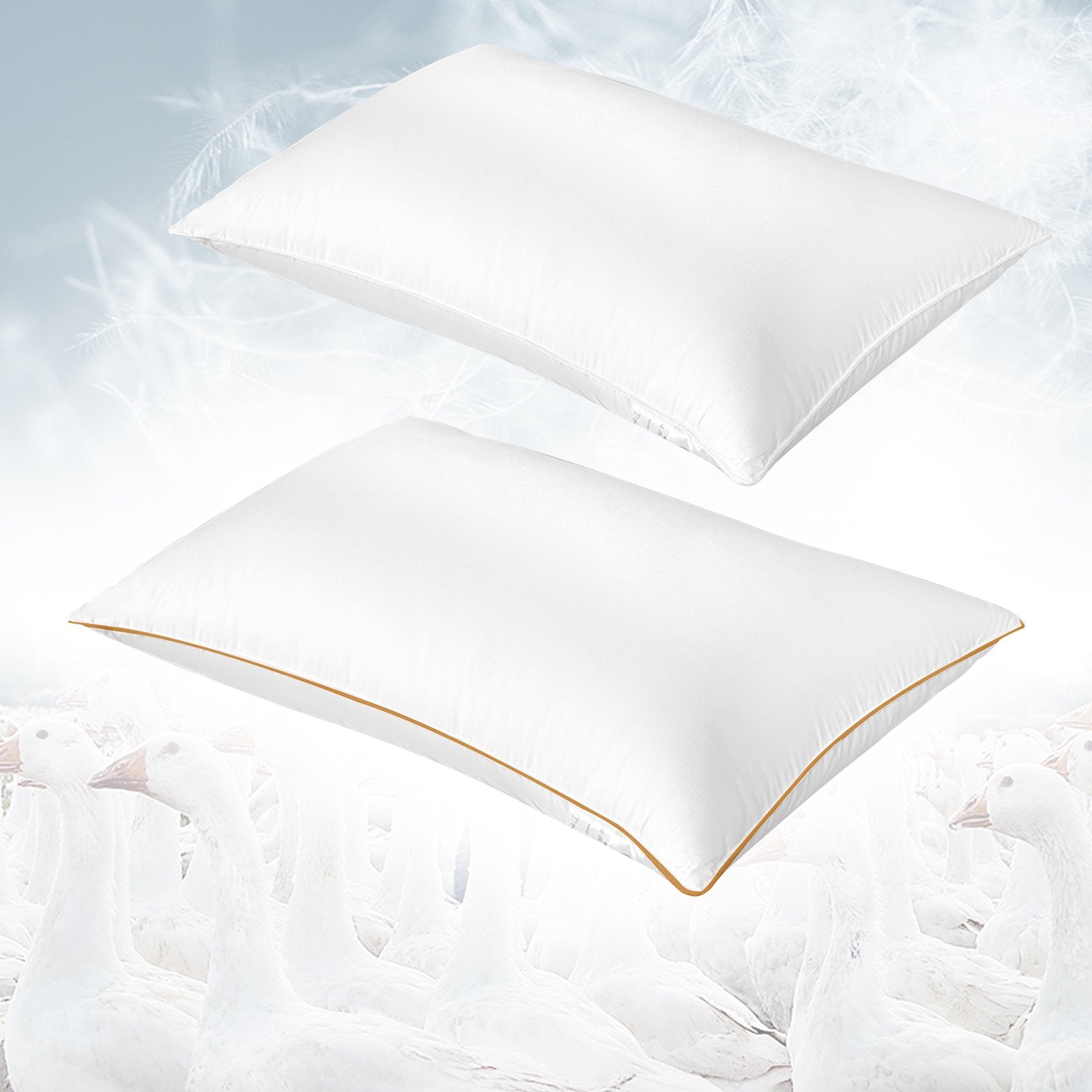 Goose Down Feather Throw Pillow Inserts Down Filling, With Cotton