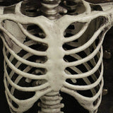 Load image into Gallery viewer, Halloween Skeleton detail