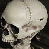 Load image into Gallery viewer, Halloween Skeleton head detail 