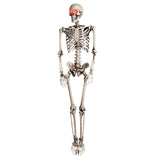 Load image into Gallery viewer, Halloween Skeleton 5.6ft led eyes