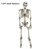Load image into Gallery viewer, Halloween Skeleton 5.6ft